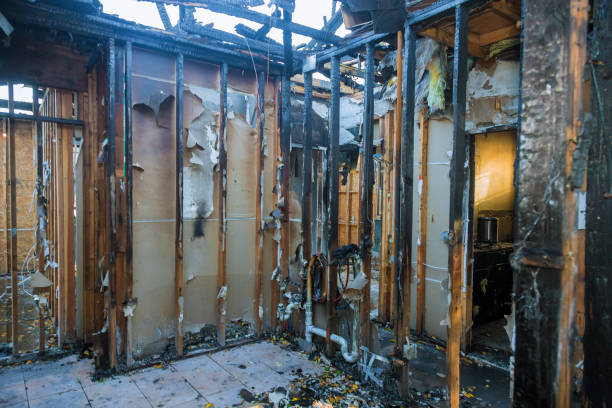 Professional Fire Damage Removal technician working in St. Peter, WI